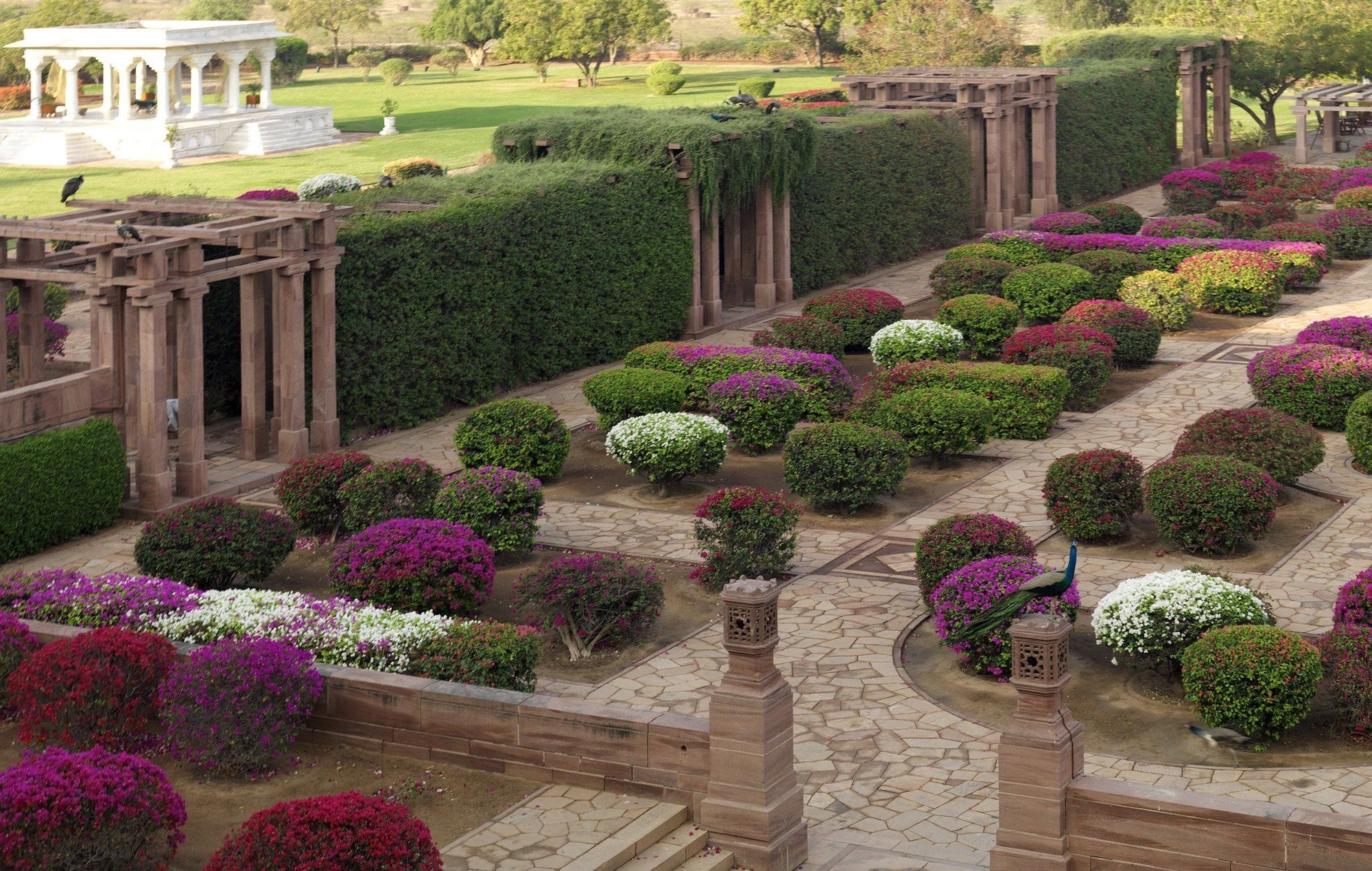 Umaid Bhawan Palace Jodhpur Jodhpur  Konforlar fotoğraf