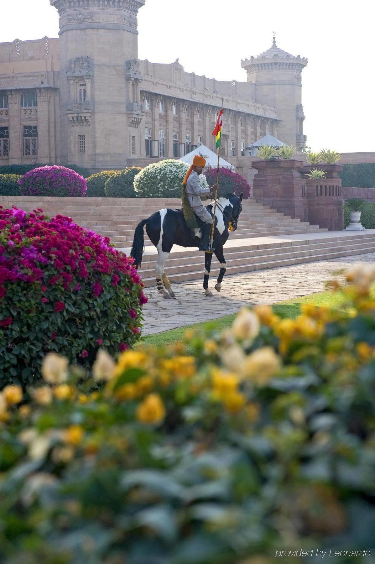 Umaid Bhawan Palace Jodhpur Jodhpur  Dış mekan fotoğraf